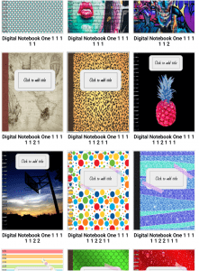 Digital Interactive Notebooks